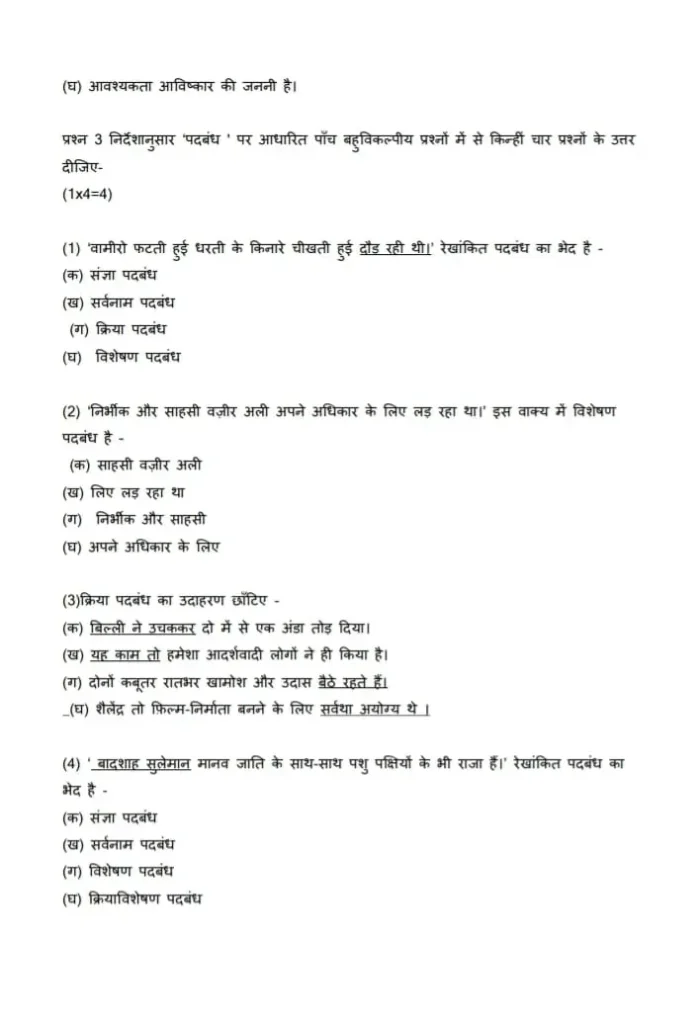 CBSE Class 10th Hindi B Sample  Question Paper 2023